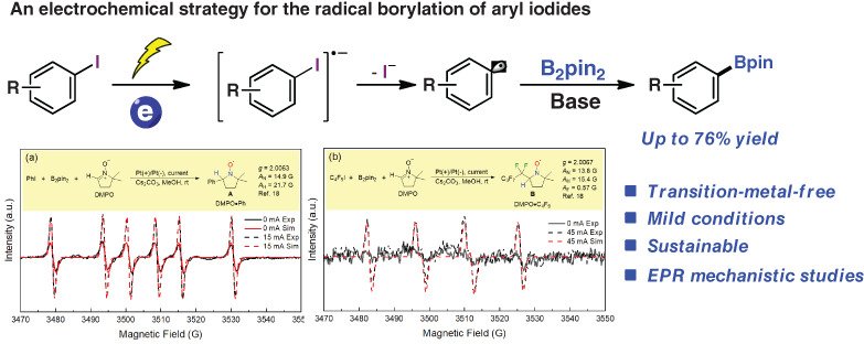 Graphical abstract for “Electrochemical Radical Borylation of Aryl Iodides”