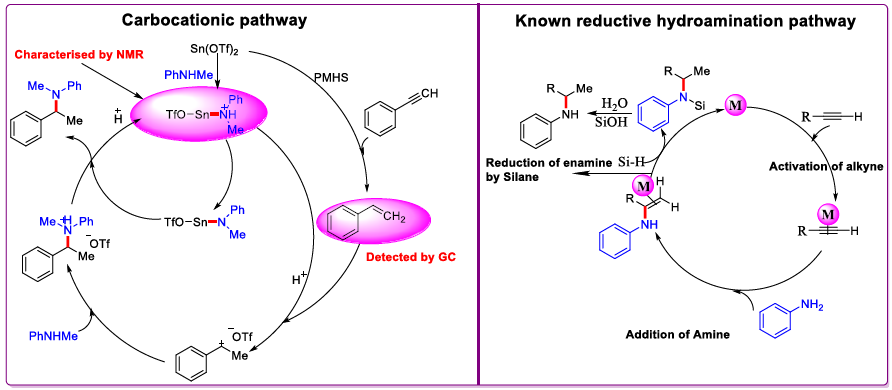 Graphical abstract for “Tin-catalyzed selective reductive hydroamination of alkynes for the synthesis of tertiary amines.”