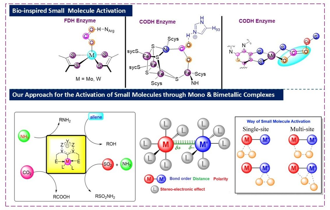 Graphical abstract: Catalysis & Synthesis