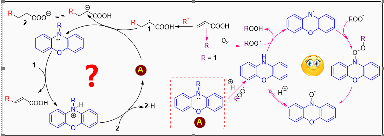 Graphical abstract for “Inhibition of acrylic acid and acrylate autoxidation”